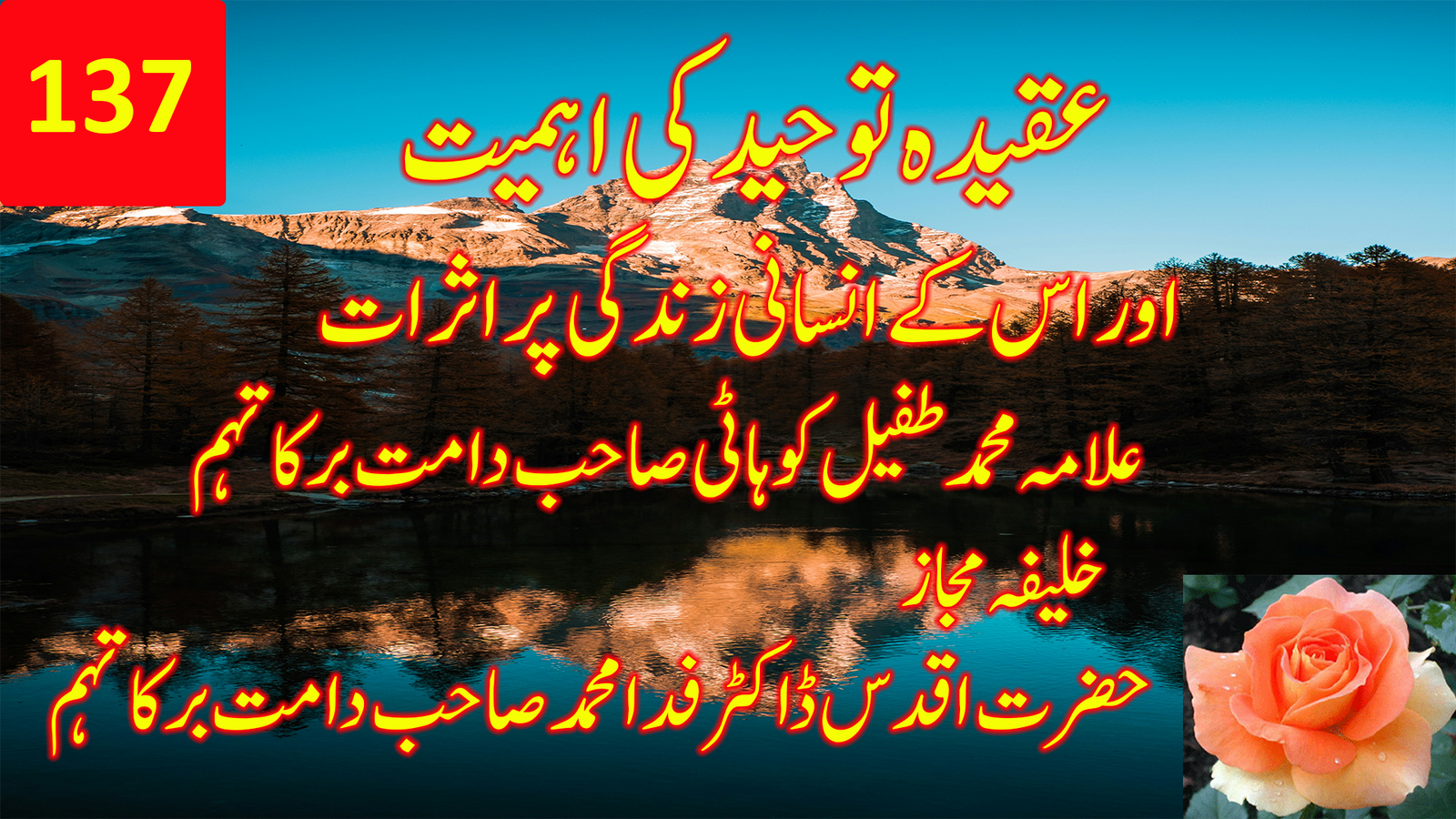 عقیدۂ توحید اور اس کے انسانی زندگی پر اثرات — حضرت مولانا محمد طفیل کوہاٹی صاحب