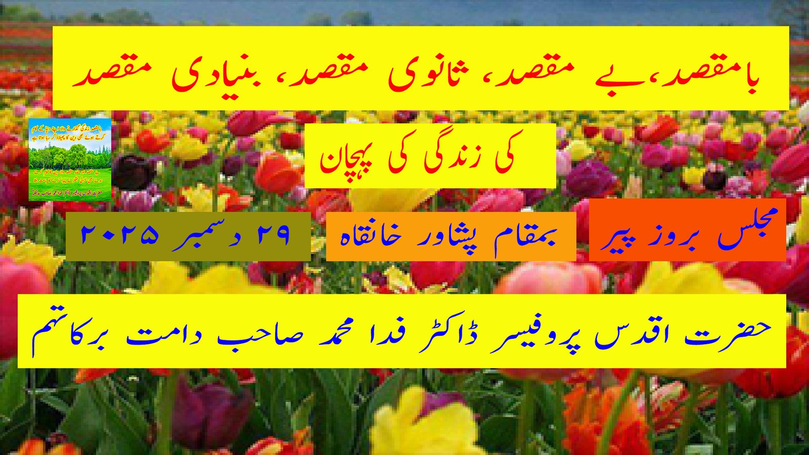 بامقصد، بے مقصد، ثانوی مقصد، بنیادی مقصد کی زندگی کی پہچان