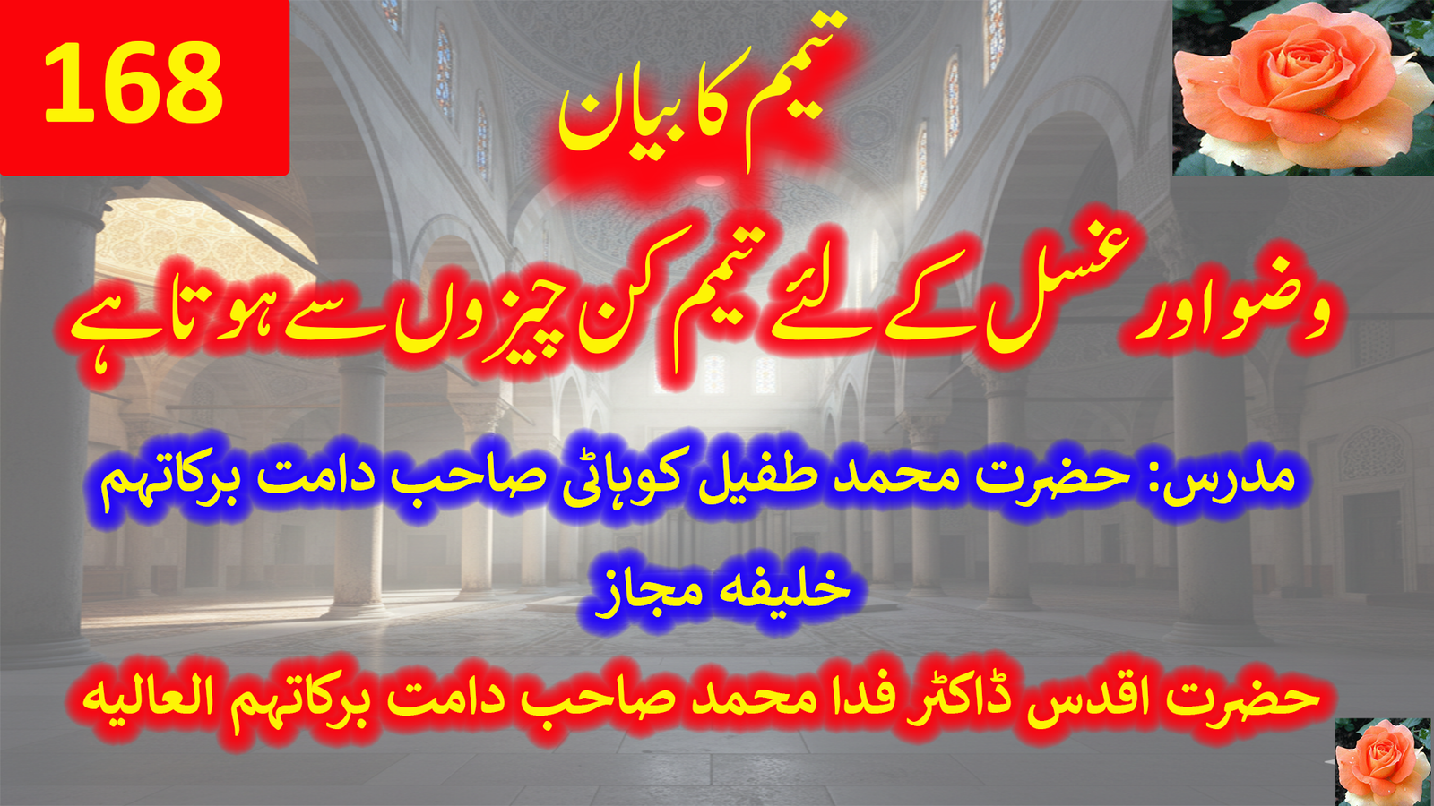 177۔ وضو اور غسل کے لیے تیمم کن چیزوں سے ہوتا ہے — حضرت علامہ محمد طفیل کوہاٹی صاحب دامت برکاتہم