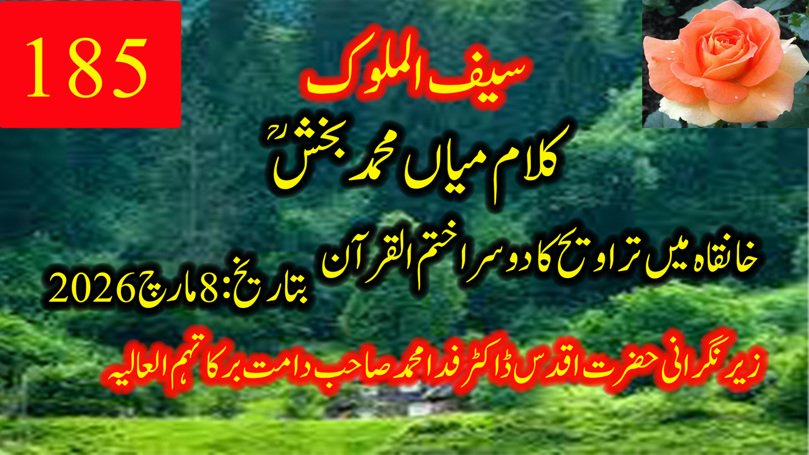 194۔ سیف الملوک — میاں محمد بخشؒ کا صوفیانہ کلام